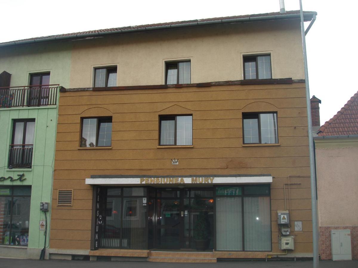 Pensiunea Mury 布拉索夫 外观 照片